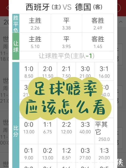 世界杯在线观看